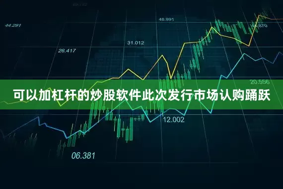 可以加杠杆的炒股软件此次发行市场认购踊跃