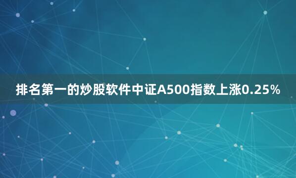 排名第一的炒股软件中证A500指数上涨0.25%