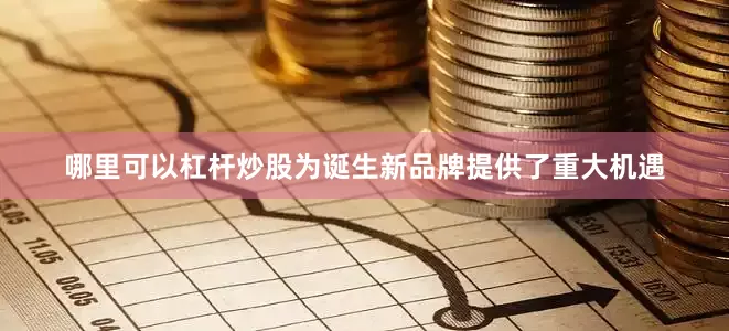 哪里可以杠杆炒股为诞生新品牌提供了重大机遇