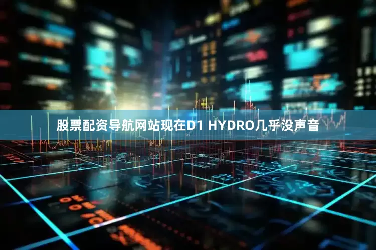 股票配资导航网站现在D1 HYDRO几乎没声音