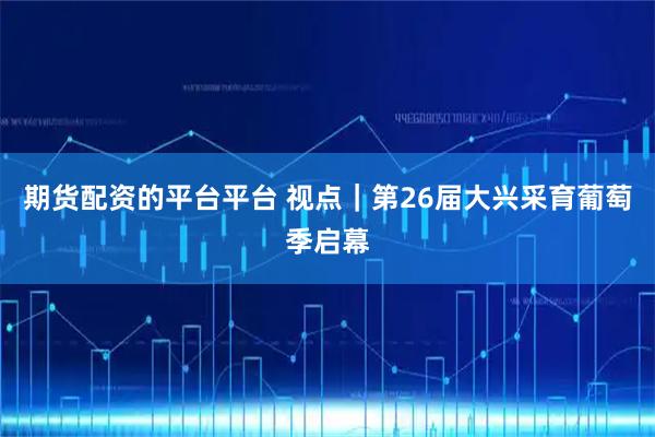 期货配资的平台平台 视点｜第26届大兴采育葡萄季启幕