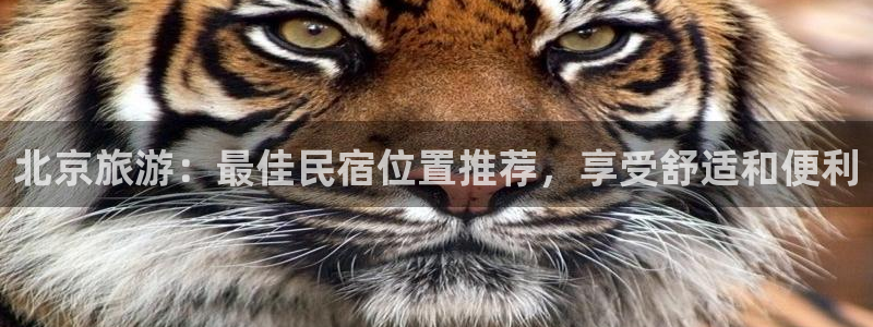 球盟会|北京旅游：最佳民宿位置推荐，享受舒适和便利